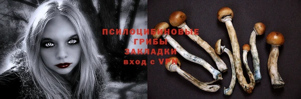 jwh Елабуга